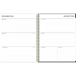 Blue Sky 2025 Vonnie 8.5" x 11" Weekly & Monthly Planner, Plastic Cover, Multicolor (152196) Best