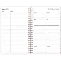 Blue Sky 2025 Wednesday Stripe 5