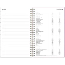 Blue Sky 2025 Wednesday Stripe 5
