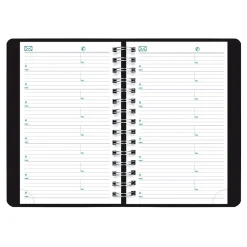 Blueline 2025 Plan & Link 5