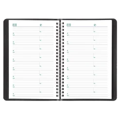 Blueline 2025 Plan & Link 5