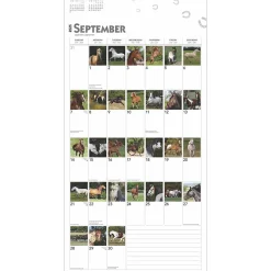 BrownTrout 2025 365 Days of Horses 12