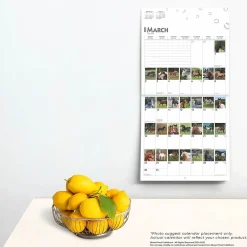 BrownTrout 2025 365 Days of Horses 12