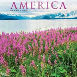 BrownTrout 2025 America 12" x 12" Monthly Square Wall Calendar (9781975474447) Best