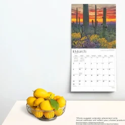 BrownTrout 2025 America 12