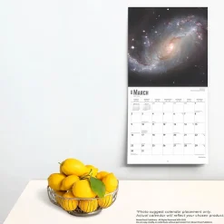 BrownTrout 2025 Astronomy 12