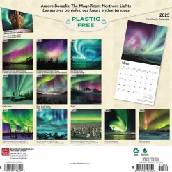 BrownTrout 2025 Aurora Borealis Les aurores boréales 12" x 12" Monthly Wall Calendar (9781975476526)
