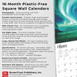 BrownTrout 2025 Aurora Borealis Les aurores boréales 12