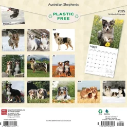 BrownTrout 2025 Australian Shepherds 12" x 12" Monthly Wall Calendar (9781975476557) New