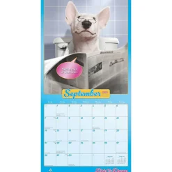 BrownTrout 2025 Avanti Livin' the Dream 12