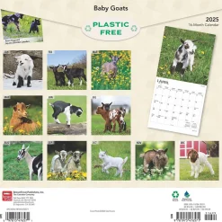 BrownTrout 2025 Baby Goats 12" x 12" Monthly Wall Calendar (9781975476571)