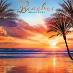 BrownTrout 2025 Beaches 12" x 12" Monthly Square Wall Calendar (9781975476601)