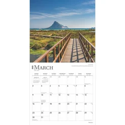 BrownTrout 2025 Beaches 12