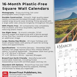 BrownTrout 2025 Beaches 12