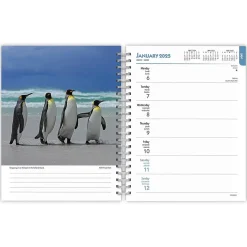 BrownTrout 2025 Beaches 6