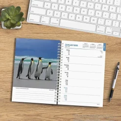 BrownTrout 2025 Beaches 6