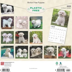 BrownTrout 2025 Bichon Frise Puppies 12" x 12" Monthly Wall Calendar (9781975474508) Clearance