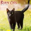 BrownTrout 2025 Black Cats 12" x 12" Monthly Wall Calendar (9781975476649) Hot