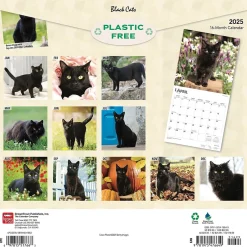BrownTrout 2025 Black Cats 12" x 12" Monthly Wall Calendar (9781975476649) Hot