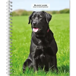 BrownTrout 2025 Black Labrador Retrievers 6" x 7.75" Weekly Engagement Planner, Paper Cover, Multicolored (9781975473235) Clearance