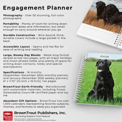 BrownTrout 2025 Black Labrador Retrievers 6