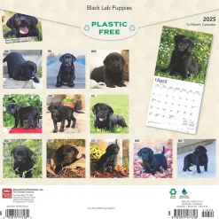 BrownTrout 2025 Black Labrador Retriever Puppies 12" x 12" Monthly Wall Calendar (9781975477318) Discount