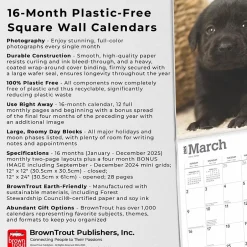 BrownTrout 2025 Black Labrador Retriever Puppies 12