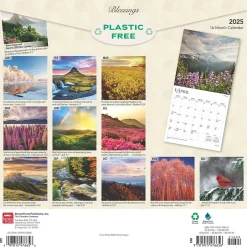 BrownTrout 2025 Blessings 12" x 12" Monthly Wall Calendar (9781975476656) New