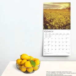 BrownTrout 2025 Blessings 12