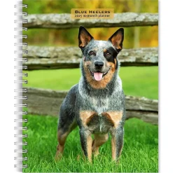 BrownTrout 2025 Blue Heelers 6" x 7.75" Weekly Engagement Planner, Paper Cover, Multicolored (9781975483142) Clearance