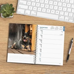 BrownTrout 2025 Blue Heelers 6