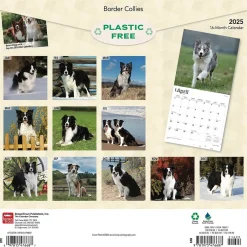 BrownTrout 2025 Border Collies 12" x 12" Monthly Wall Calendar (9781975476687) New