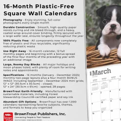 BrownTrout 2025 Boston Terrier Puppies 12