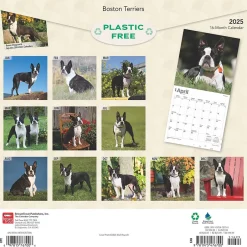 BrownTrout 2025 Boston Terriers 12" x 12" Monthly Wall Calendar (9781975476700) Sale