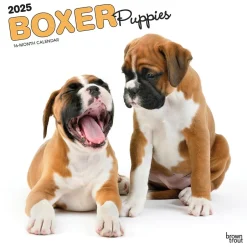 BrownTrout 2025 Boxer Puppies 12" x 12" Monthly Wall Calendar (9781975476717)