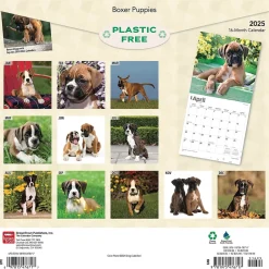 BrownTrout 2025 Boxer Puppies 12" x 12" Monthly Wall Calendar (9781975476717)