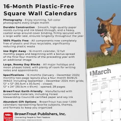 BrownTrout 2025 Boxer Puppies 12