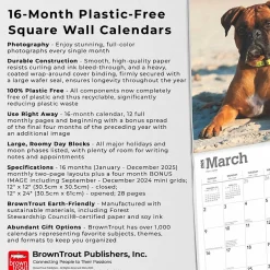 BrownTrout 2025 Boxers International Edition 12