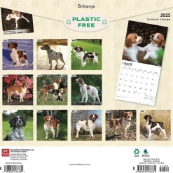 BrownTrout 2025 Brittanys 12" x 12" Monthly Wall Calendar (9781975476731) Online