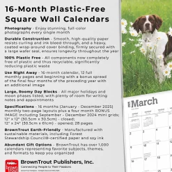 BrownTrout 2025 Brittanys 12