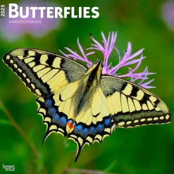 BrownTrout 2025 Butterflies 12" x 12" Monthly Wall Calendar (9781975476762) Clearance