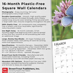 BrownTrout 2025 Butterflies 12