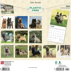 BrownTrout 2025 Cairn Terriers 12" x 24" Monthly Square Wall Calendar, (9781975476779) Hot