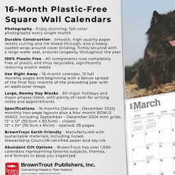 BrownTrout 2025 Cairn Terriers 12