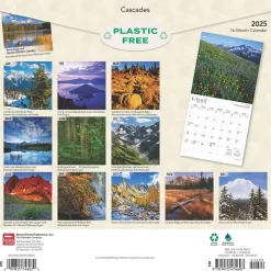 BrownTrout 2025 Cascades 12" x 12" Monthly Wall Calendar (9781975474607) Clearance