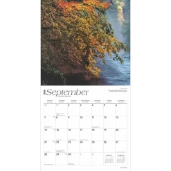 BrownTrout 2025 Cascades 12