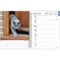 BrownTrout 2025 Cat Lovers 6