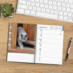 BrownTrout 2025 Cat Lovers 6