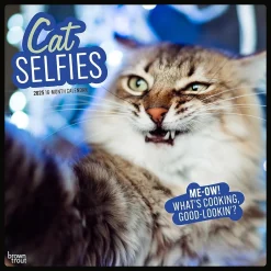 BrownTrout 2025 Cat Selfies 12" x 12" Monthly Wall Calendar (9781975474614) Sale