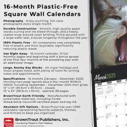 BrownTrout 2025 Cat Selfies 12